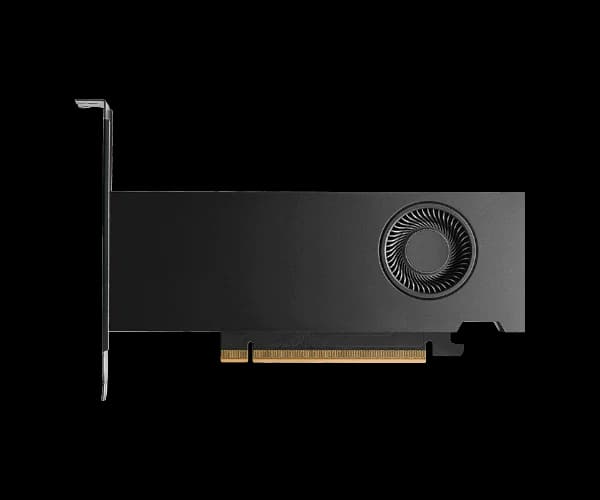 GPU Pny Nvidia RTX PRO 2000 Blackwell 16GB GDDR7 Bulk — Image 1 | PuzzlePC